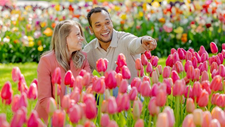 Betoverende Bloemenpracht:  De Magie van Keukenhof Nederland
